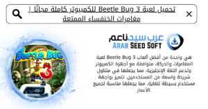 beetle bug 3